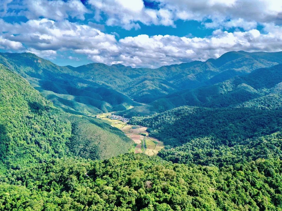 勐遠仙境：解鎖雨林奇趣，體驗靈魂療愈之旅